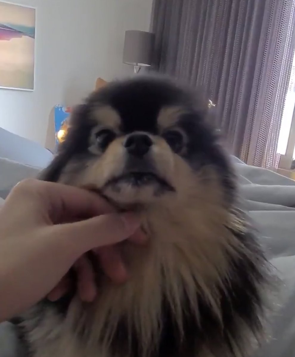 sowoojoo613's tweet photo. Yeontan grew a lot but taehyung’s hands are still so much bigger than yeontan’s head😭 https://t.co/WYmLK0PjWU