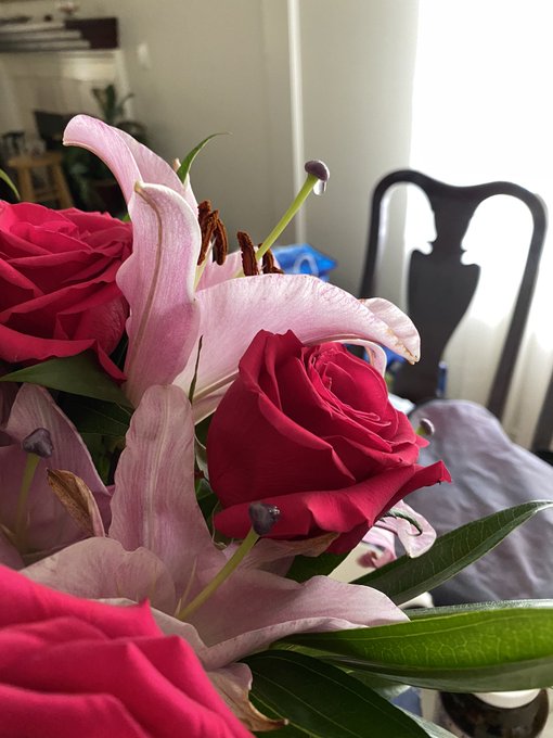 I think my flowers are horny https://t.co/HqXTrSNVDL<a href="/tag/throne"class="tags"><span>#throne</span></a><a href="/tag/wishlist"class="tags"><span>#wishlist</span></a>