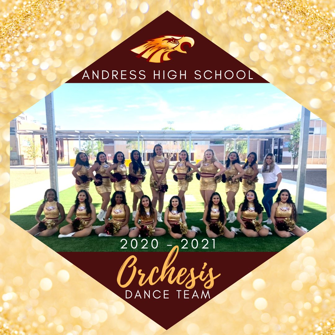 2020 - 2021 Orchesis Dance Team 💛🦅 #uhohorchesis #weareandress