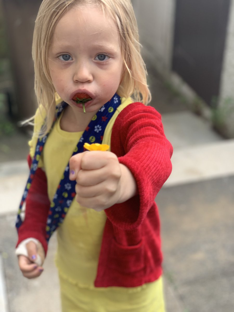 DuncbeingDunc's tweet photo. Best part of my week was my niece stopping eating mid strawberry to bring me a flower🍓🥲 https://t.co/cUhItU8Vvy