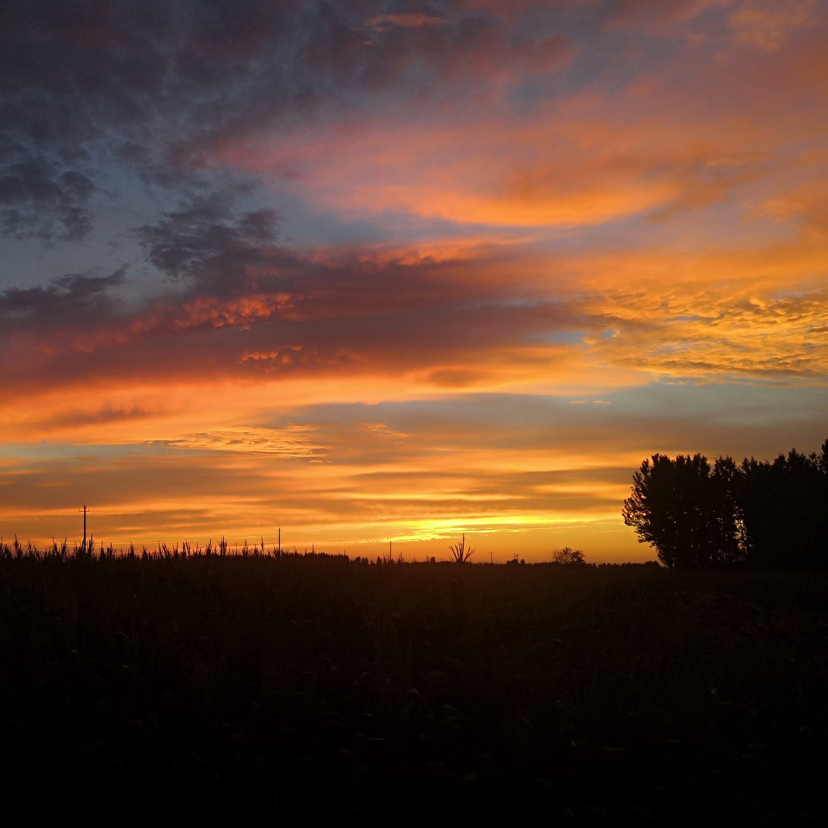 99ApD3VgYSlEnPc's tweet image. #新头像