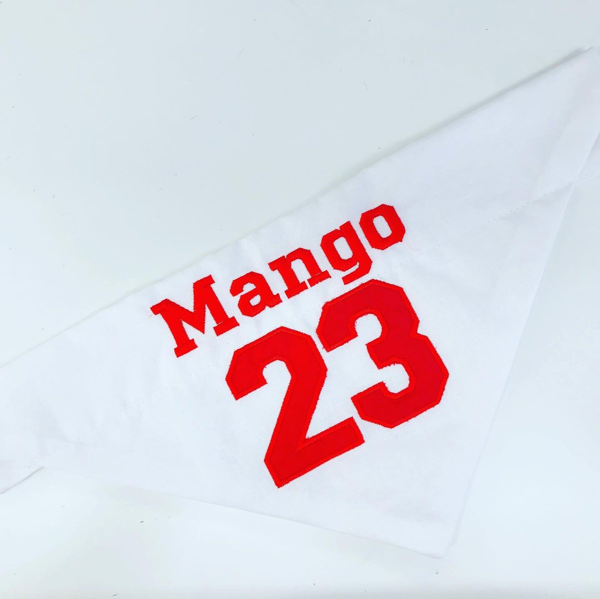 ⚽️⚽️⚽️Oh hey someone must think it’s the #euros starting tonight! This week we have been mostly cheering on our #englandteam but we offer all flags with our #flagoftheworld bandanas. #euros2021 #euros2020 #eurostyle #petbandana #dogcollar #patriotic #englandfootball #threelions⚽️