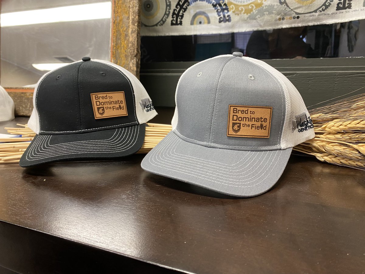 WashGenetics's tweet photo. New hats came in today!  Stop by the office or catch one of us at a field day or plot tour to get one! @WSUSmallGrains @wsuwheat https://t.co/Hcrp2coeIE