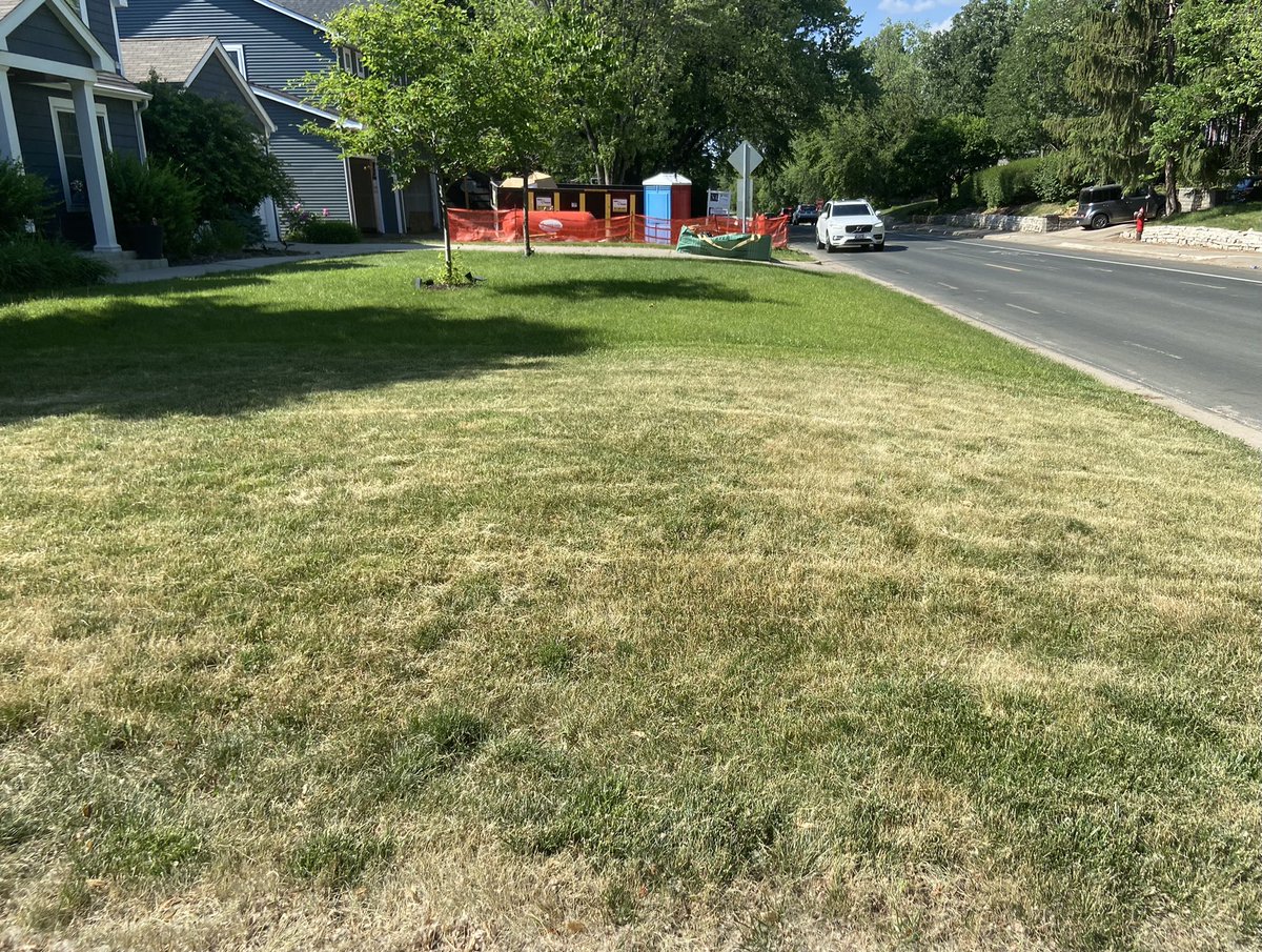 maggie_reiter's tweet image. Let your lawn go a little brown to conserve water. This is fine! Kentucky bluegrass is entering a drought-induced dormancy and will recover when moisture returns. Depending on rain forecast and soil properties, it may be helpful to water once late next week