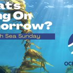 Photo by Ocean Week Victoria (@oceanweekvic)