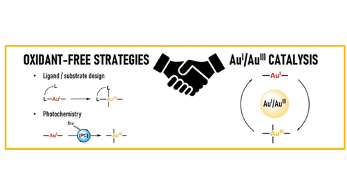 EurJIC (@eurjic) on Twitter photo Xavi Ribas <a href="/ribas_xavi/">xribas</a> and Pau Font <a href="/paufontrubio/">Pau Font Rubio 🎗️</a> reviewed fundamental basis for implementing oxidant-free Au(I)/Au(III) #catalysis. <a href="/QBIScat_UdG/">QBIS-CAT Research Group</a> <a href="/univgirona/">Universitat de Girona</a> <a href="/IQCCUdG/">IQCC UdG</a> onlinelibrary.wiley.com/doi/10.1002/ej… Xavi Ribas <a href="/ribas_xavi/">xribas</a> and Pau Font <a href="/paufontrubio/">Pau Font Rubio 🎗️</a> reviewed fundamental basis for implementing oxidant-free Au(I)/Au(III) #catalysis. <a href="/QBIScat_UdG/">QBIS-CAT Research Group</a> <a href="/univgirona/">Universitat de Girona</a> <a href="/IQCCUdG/">IQCC UdG</a> onlinelibrary.wiley.com/doi/10.1002/ej…