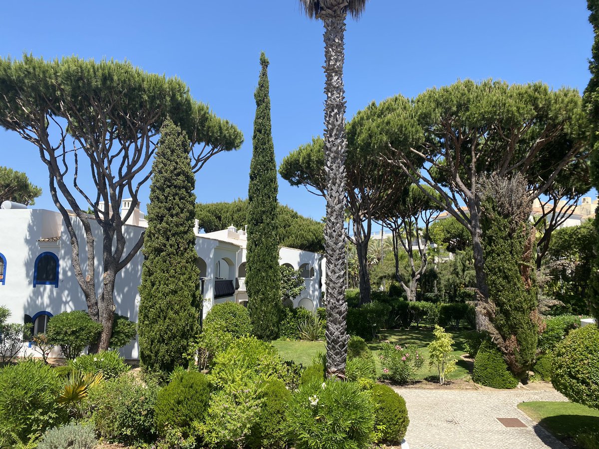 View from Apartment Julia front door!Taking bookings for summer/autumn 2021!!!🌊☀️🍹