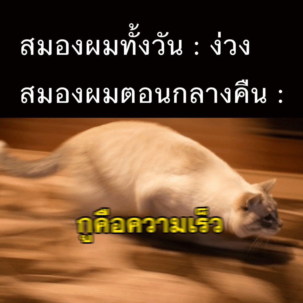 จริง ไอเหี้ย555555555555555