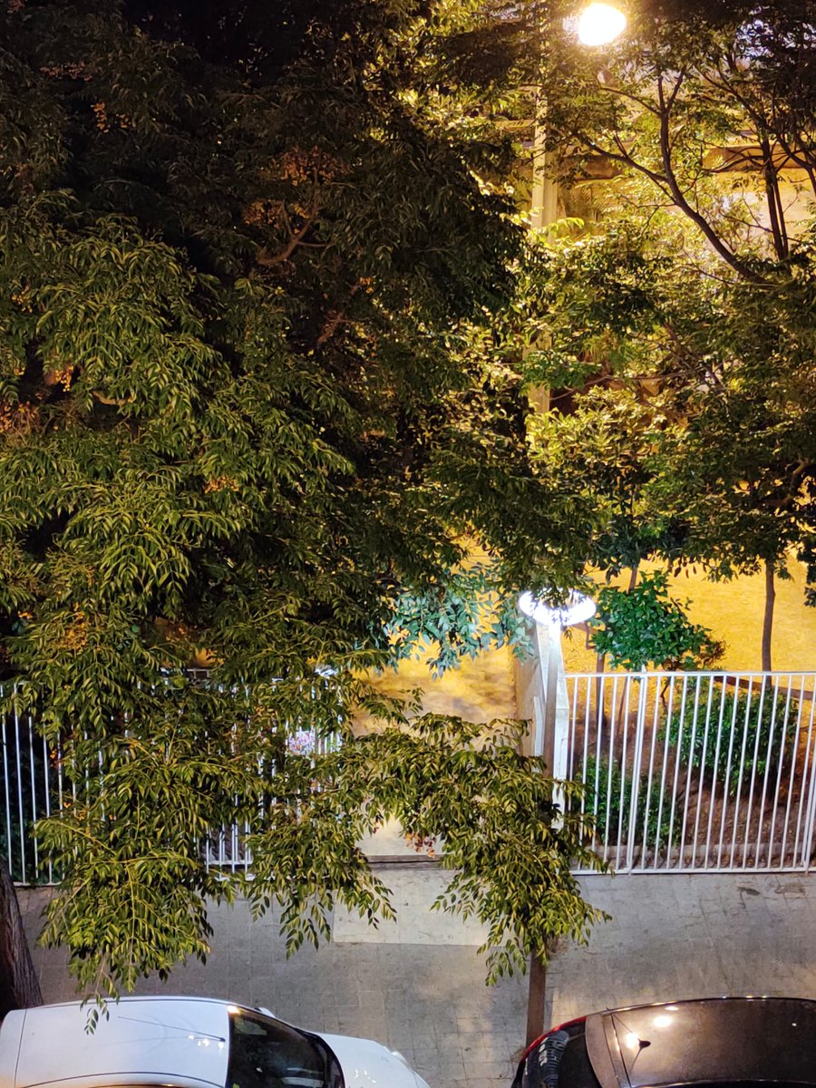 DavidDiezH's tweet photo. Los vecinos que viven o padecen lo que sucede diariamente en el parque de #CanSimonet denuncian las puertas del parque quedan abiertas todas las noches llenándose de gente haciendo botellón y escándalo.
Alcalde @hila los vecinos están al límite, cierre el parque y más controles. https://t.co/rB72rHT3ts