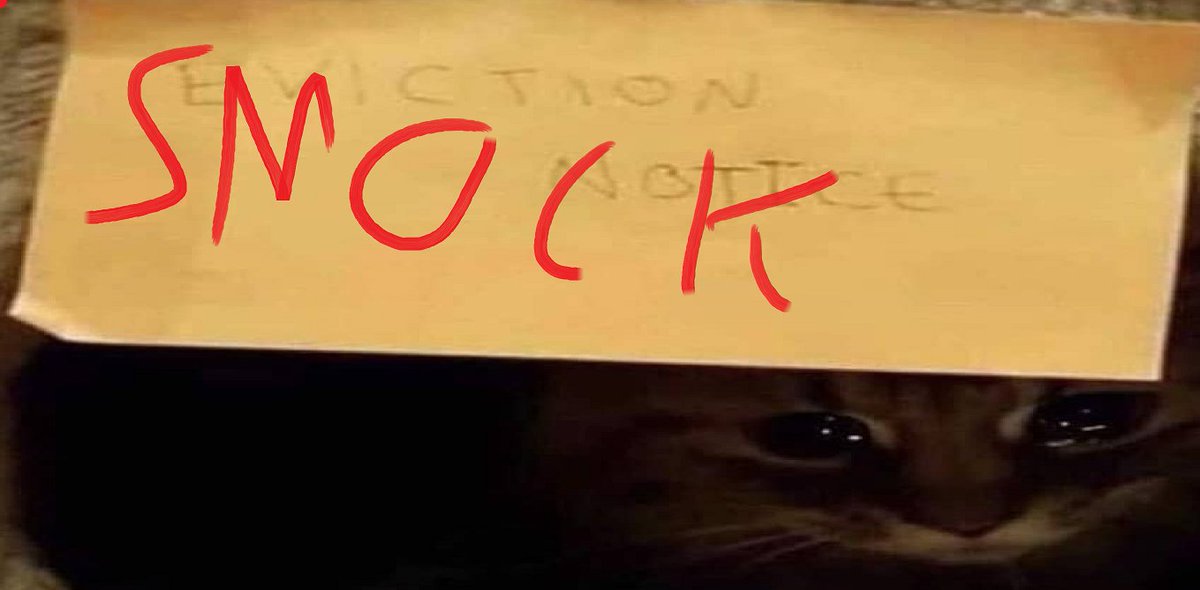 Marco Di Maio tweet media