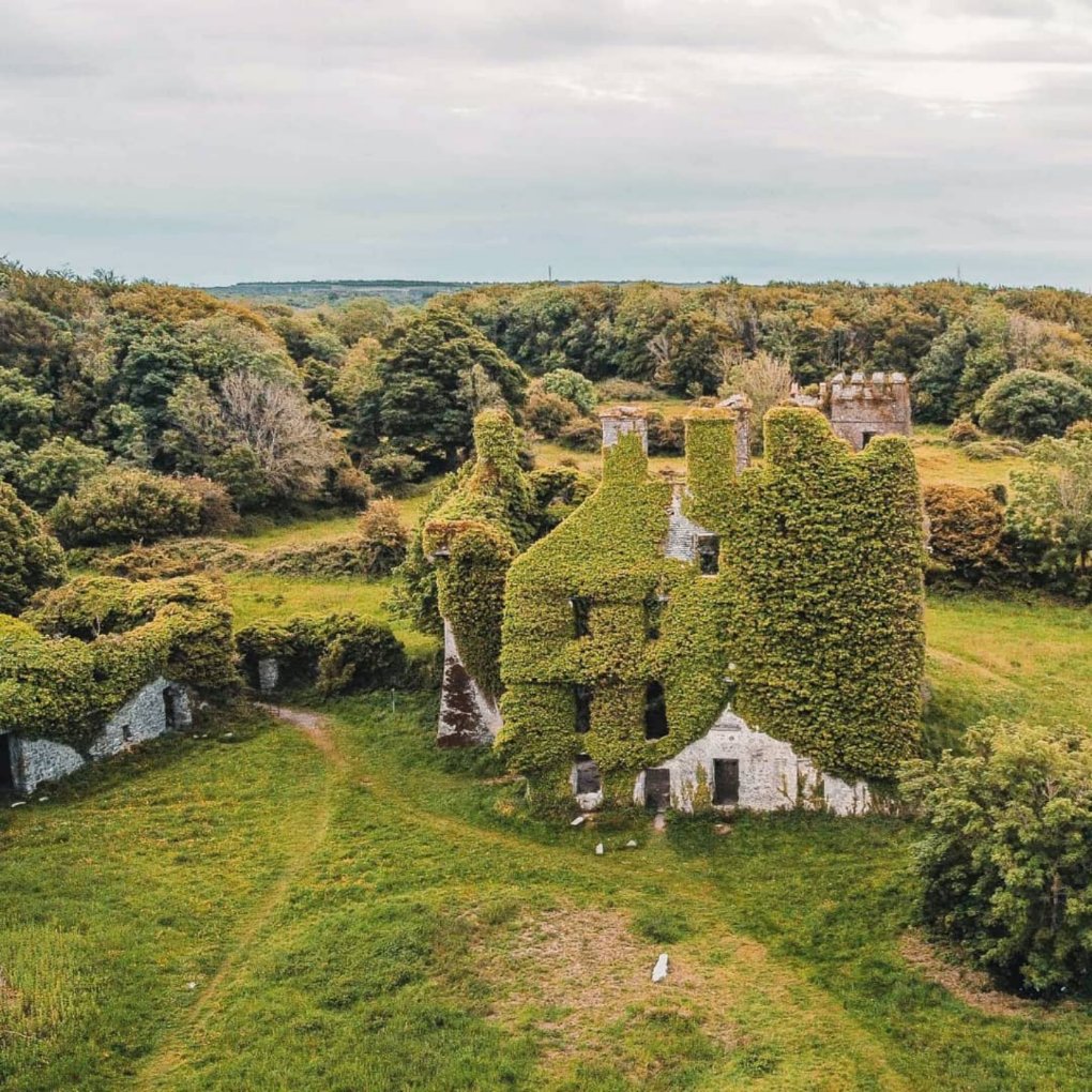 visit_galway's tweet photo. Weekends are made for adventures and what better place to explore than the ruins of Menlo Castle on the banks of the River Corrib!🏰👌💯😍
📸 IG / elizabethkeenanx
📌 Menlo Castle, Galway
#Weekend #Adventures #MenloCastle #BlakesCastle #RiverCorrib #Galway #Ireland #VisitGalway https://t.co/ssSternzgC