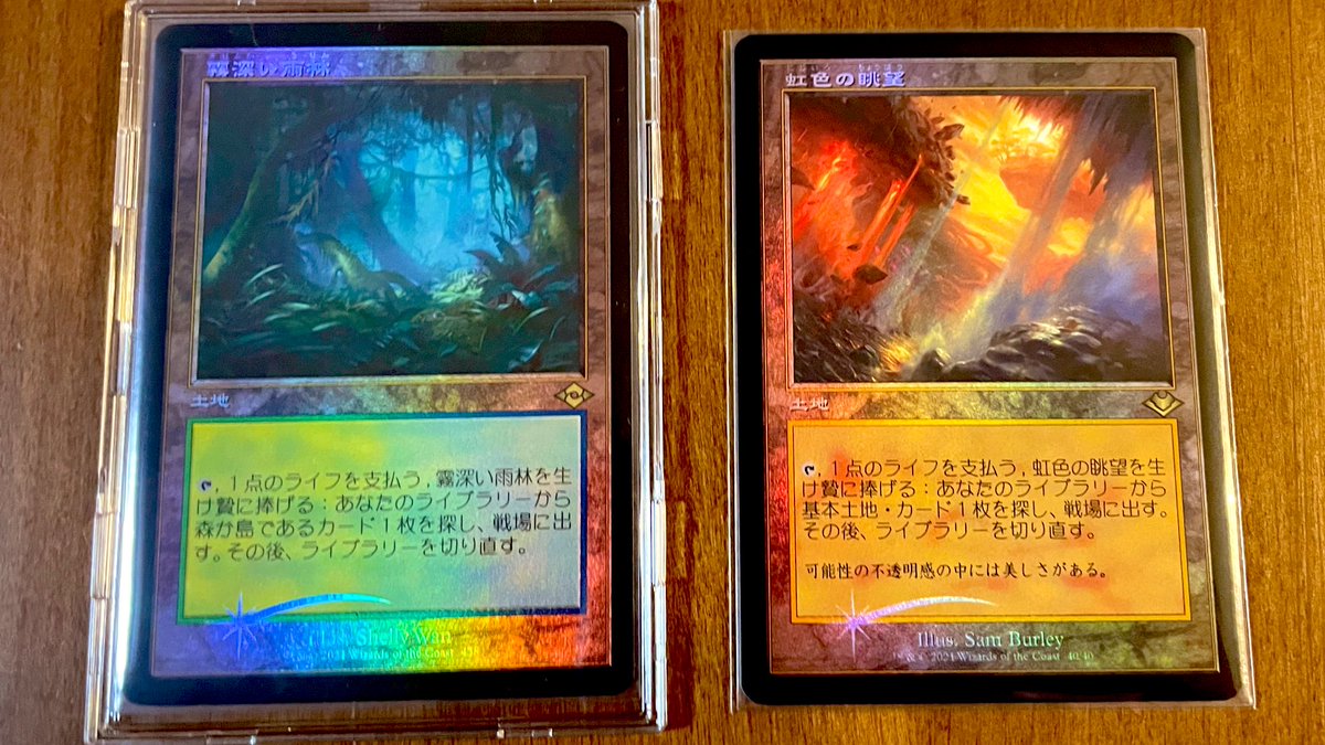 マジックMTG モダンホライゾン2 霧深い雨林 旧枠 foil コレクター