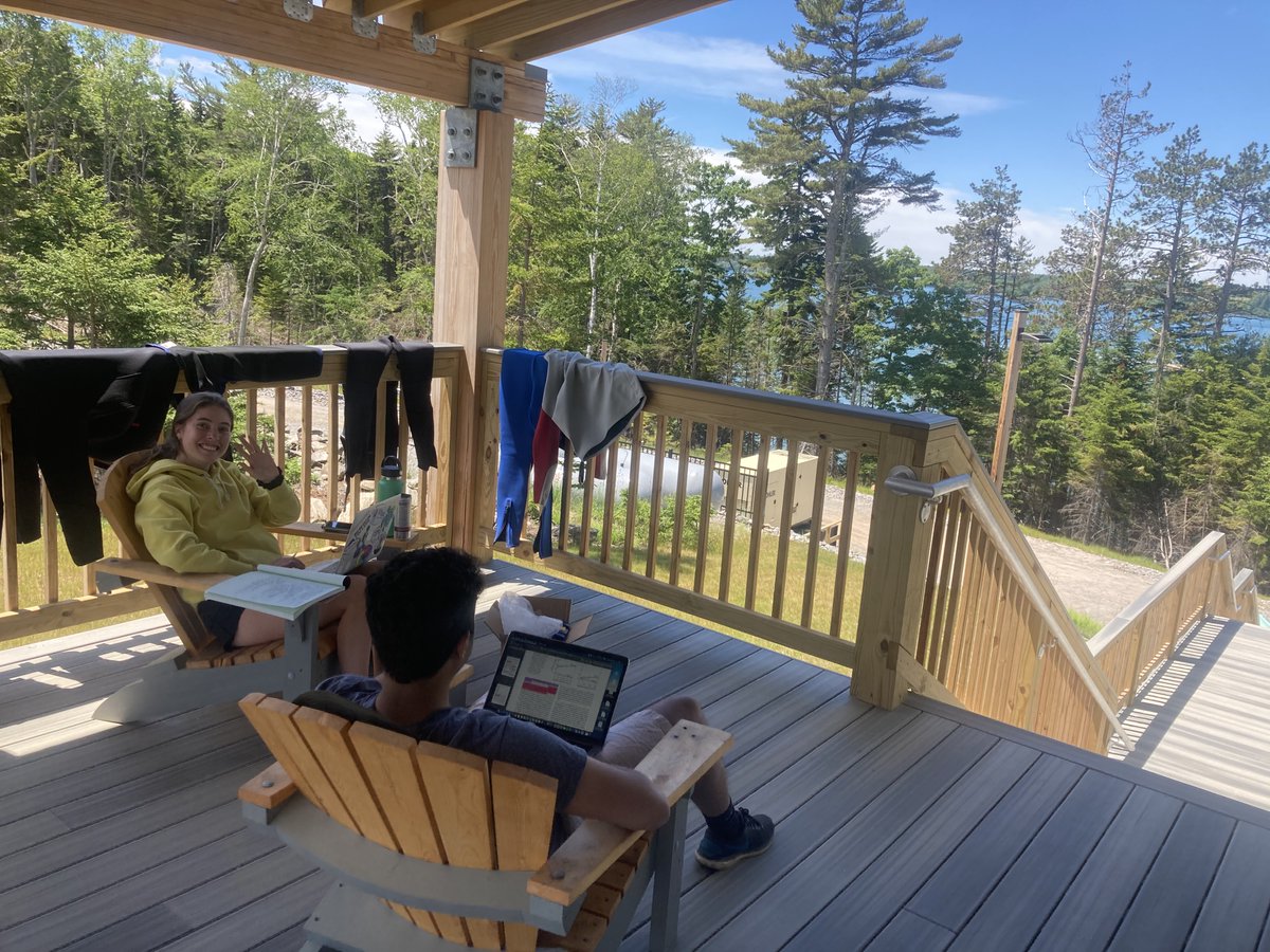 bowdoinscsc's tweet photo. Bowdoin Summer Research Fellows started independent research projects at the Schiller Coastal Studies Center this week! Snorkeling a local field site, lots of manifold building, and computer work out on the new deck...  @BowdoinCollege @jbaumann3  @KatieDu_Ecology https://t.co/wA7848AE3r