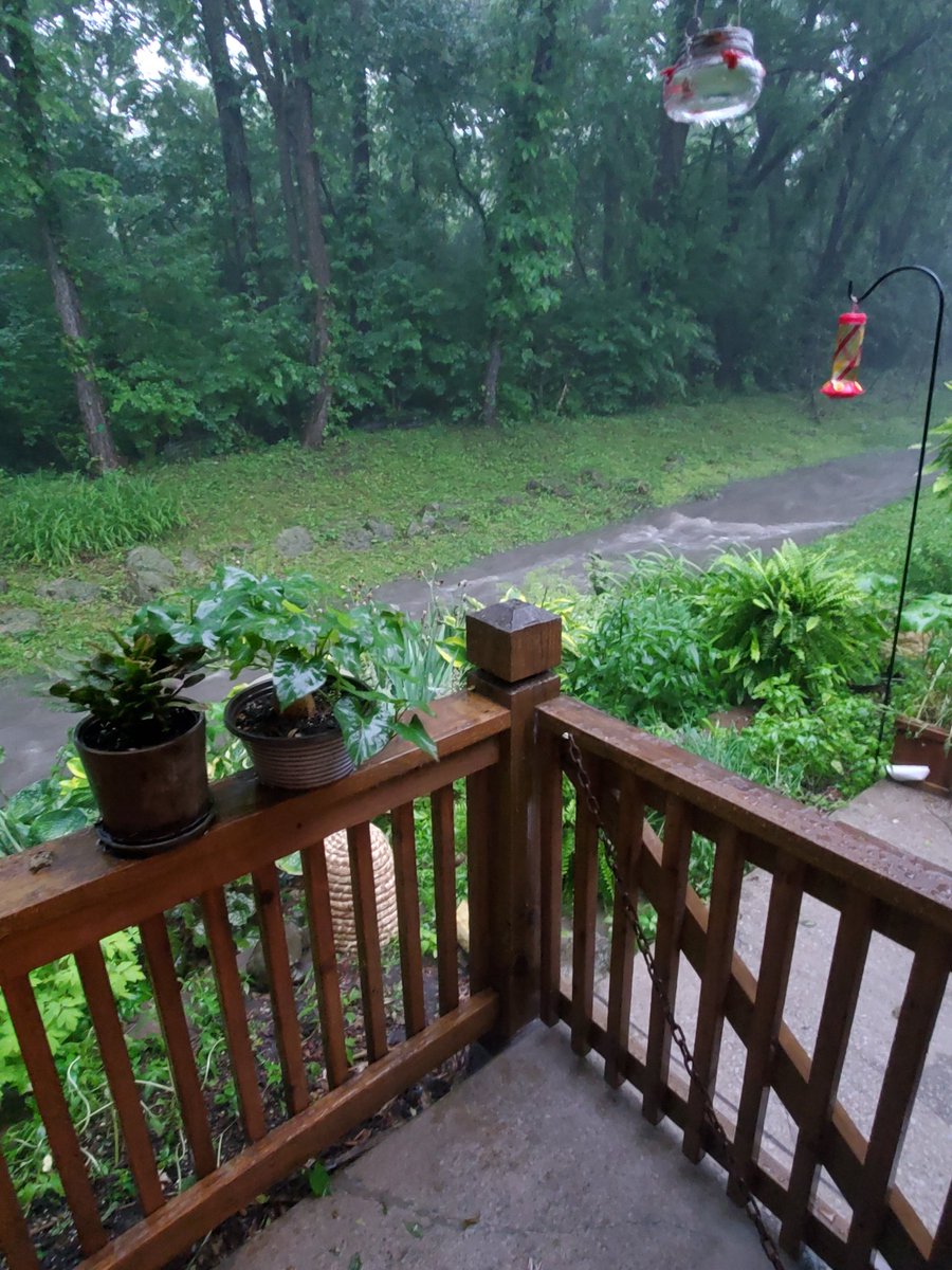 PapaSweets tweet media