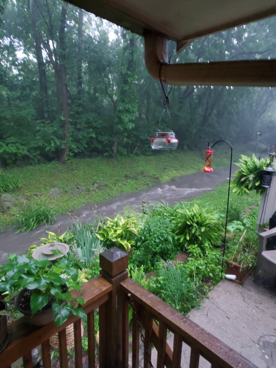 PapaSweets tweet media