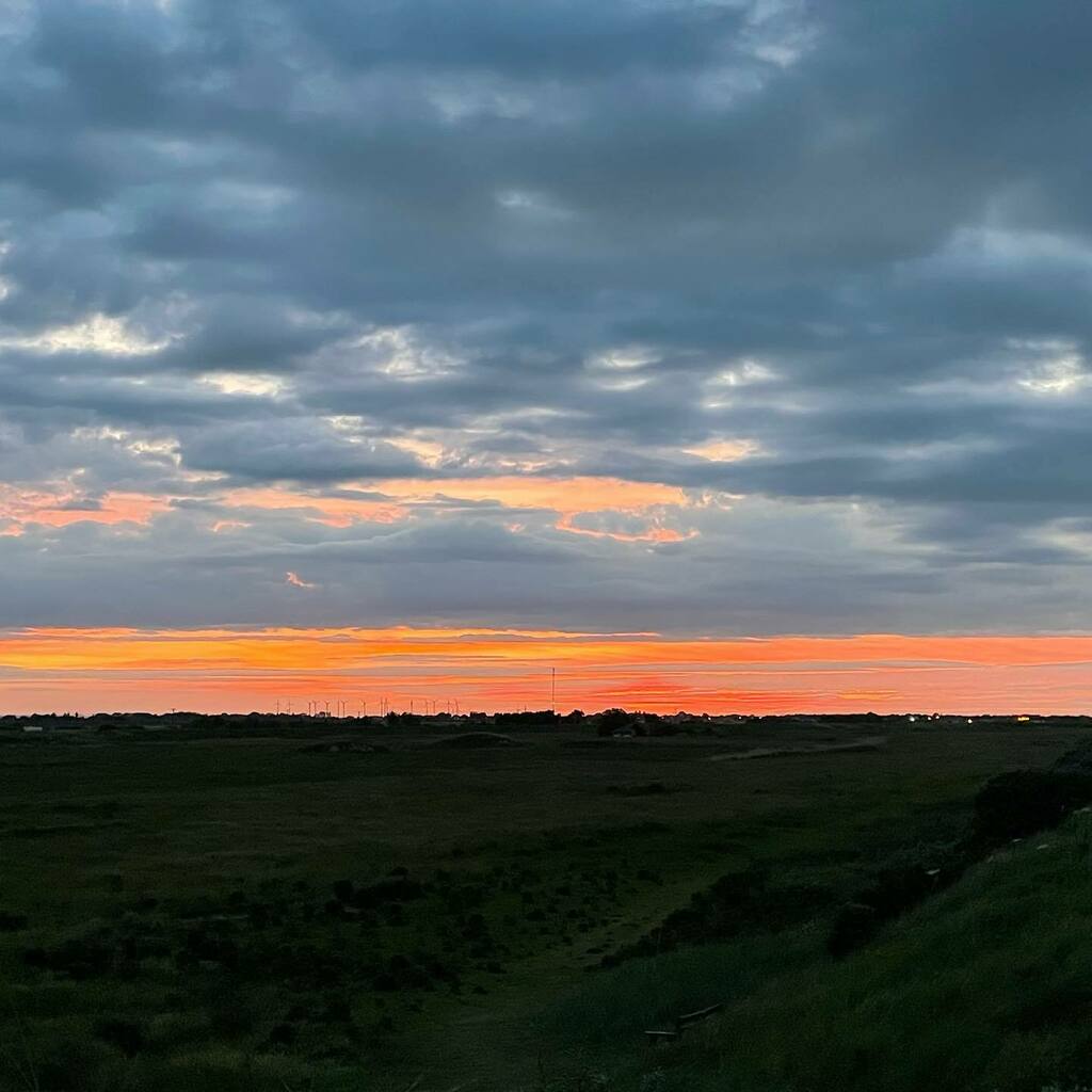 Tim Copson tweet media