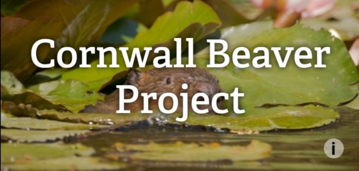 CllrBeaver's tweet photo. Yes, I have been away for the past few days having been on an organising committee for the G7 summit in Cornwall which I wasn't allowed to disclose until now under the Official Secrets Act. https://t.co/OKhnPLSs2v