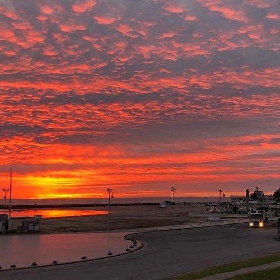 holboxpics's tweet photo. Semanita de colores en #mardel #mdp #mdq #MardelPlata 

@mardelplata 
@noticiasmdq https://t.co/AyV9GI38rd