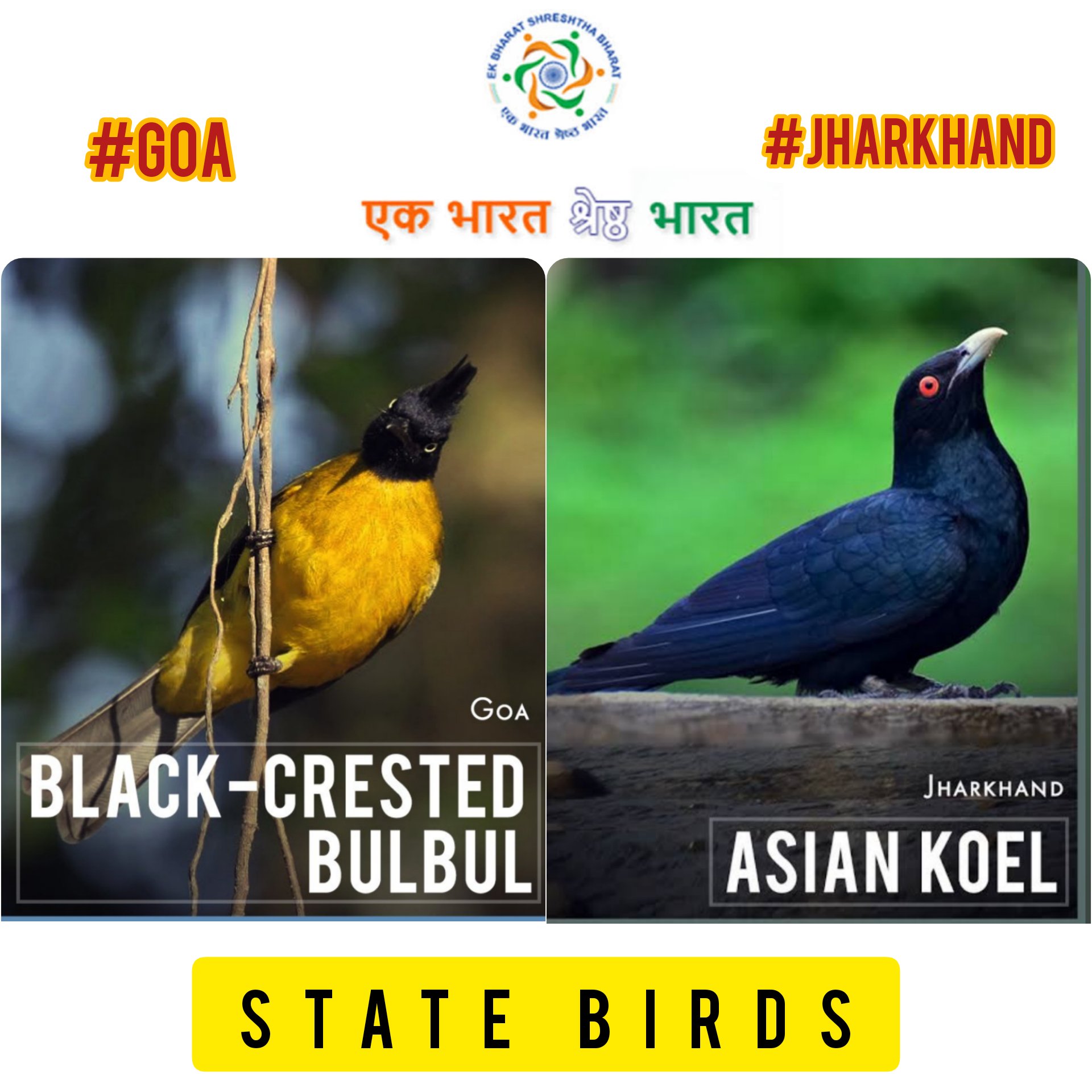 PIB in Jharkhand 🇮🇳 on Twitter: PIB in Jharkhand 🇮🇳 on Twitter: