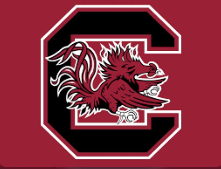 Nick Emmanwori tweet media