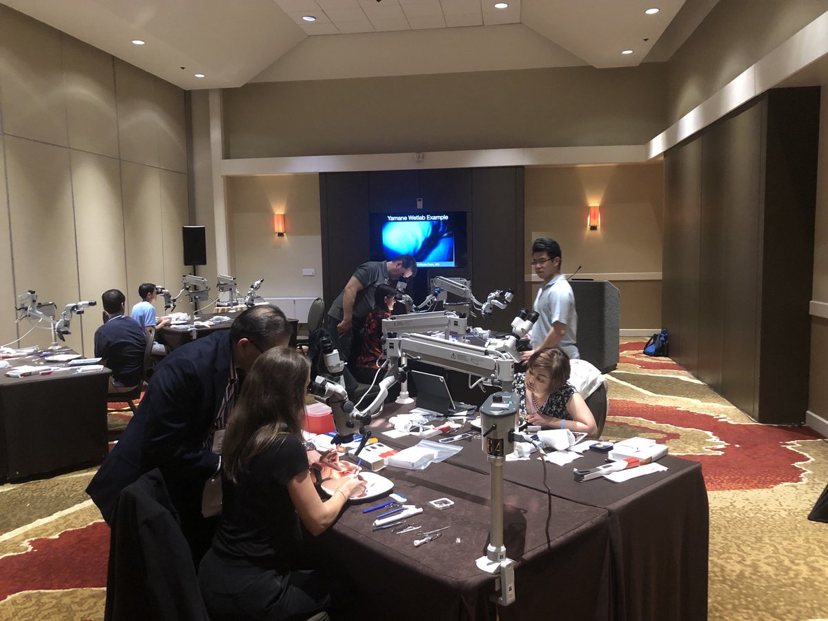 Healio_OSN's tweet photo. Attendees receive hands on training in intrascleral haptic fixation techniques in a wet lab at #CSTellingIt https://t.co/GGqgDkKUtF