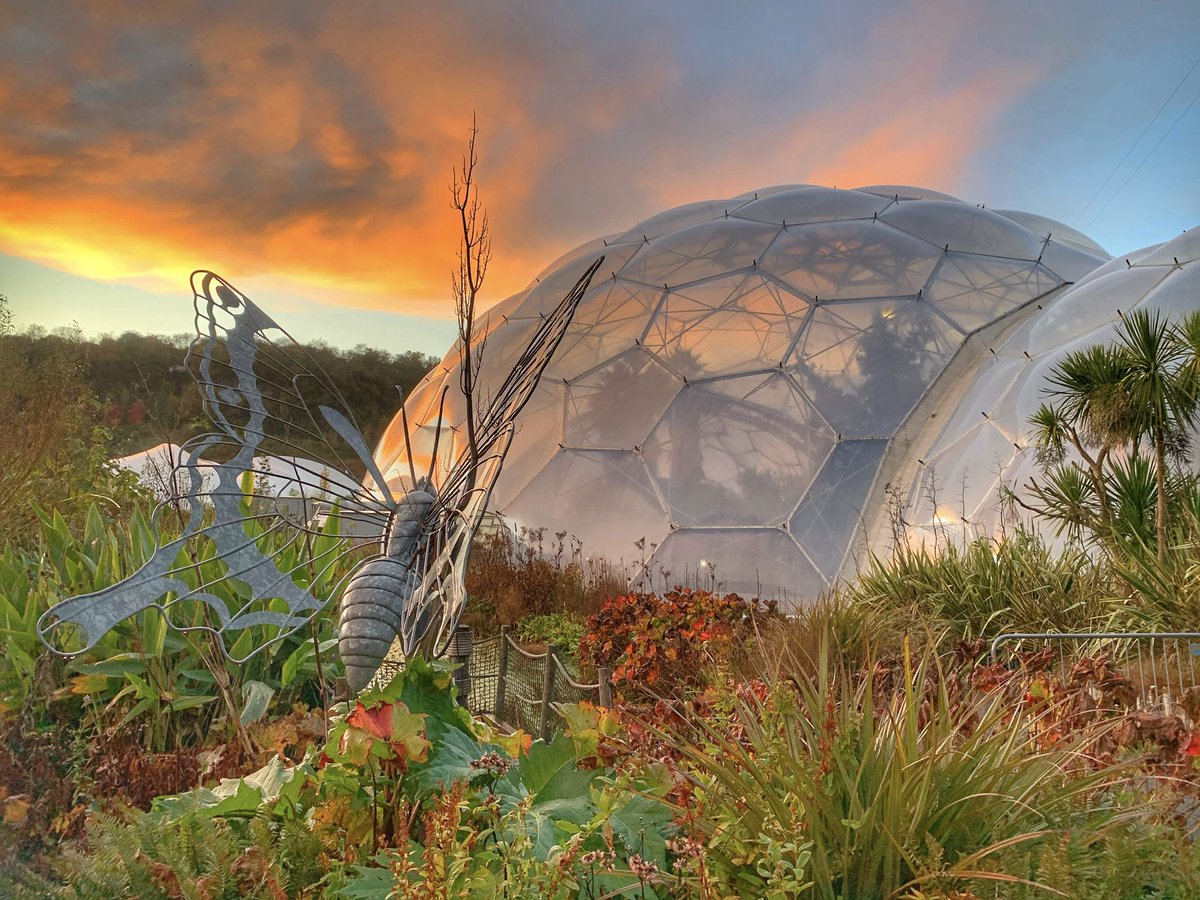 Pilchard Cottage, Dawlish (UK) tweet media