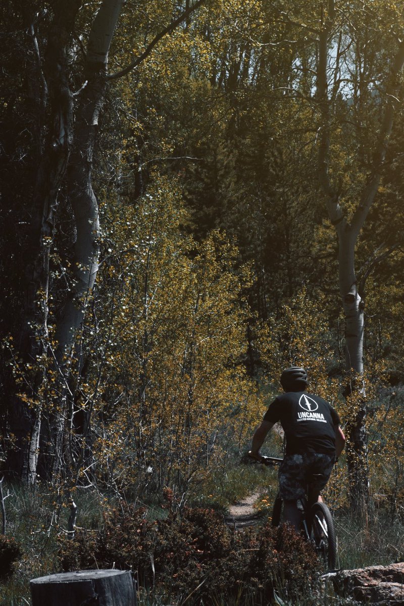 SamWardFreeski's tweet image. Enjoying the beginning of summer with some fun rides!