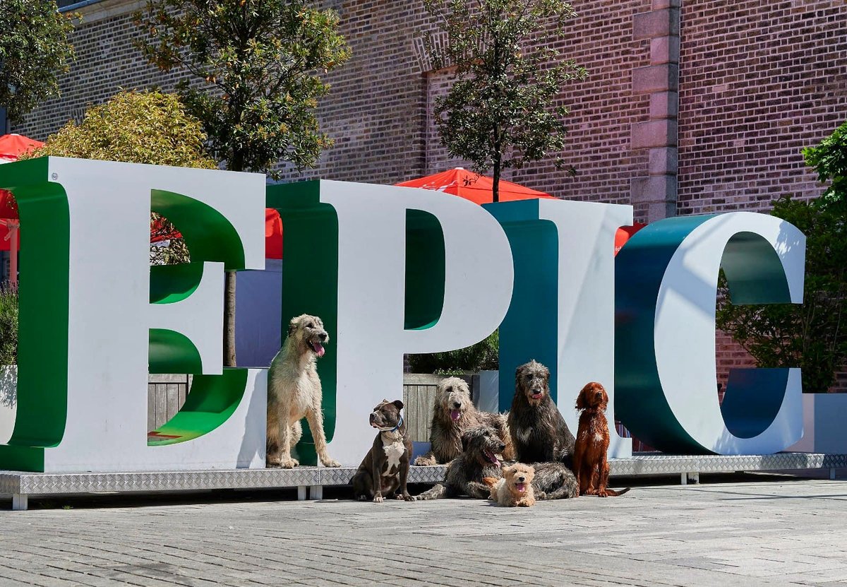 Have an EPIC weekend everybody!!! Woof Woof 🐾☀️🐺🌞🕶⁦<a href="/EPICMuseumCHQ/">EPIC The Irish Emigration Museum</a>⁩ ⁦<a href="/LovinDublin/">Lovin Dublin</a>⁩ ⁦<a href="/TourismIreland/">Tourism Ireland</a>⁩ ⁦<a href="/heritageireland/">Heritage Ireland</a>⁩
