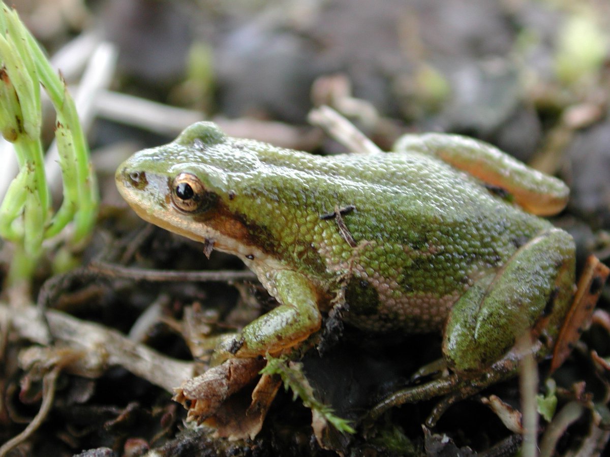 Bow Habitat Station tweet media