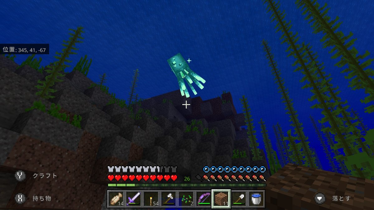 Eichin Switch Minecraft マイクラ マインクラフト Nintendoswitch 光るイカ 探しに行かなきゃ会えないかと思ってたら 家の裏に居たわw Eichin Switch Minecraft マイクラ マインクラフト Nintendoswitch 光るイカ 探しに行かなきゃ会えないかと思ってたら 家の裏に居たわw