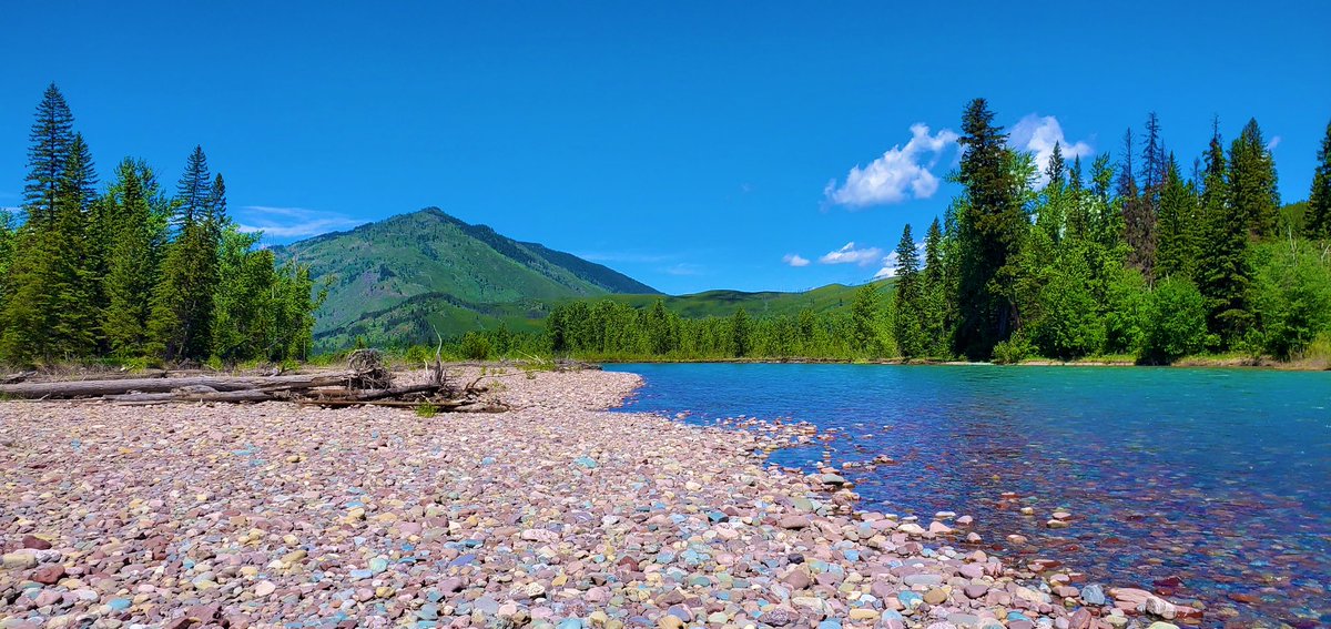 RobinKTriplett's tweet photo. Absolutely beautiful day #whitewater #rafting the #FlatheadRiver in #Montana. @GlacierNPS https://t.co/a7eugrVIG6