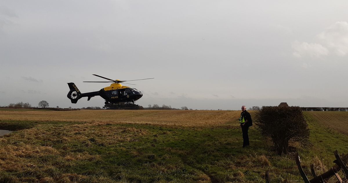 Three men fined after travelling 80 miles to hunt with dogs hulldailymail.co.uk/news/hull-east…