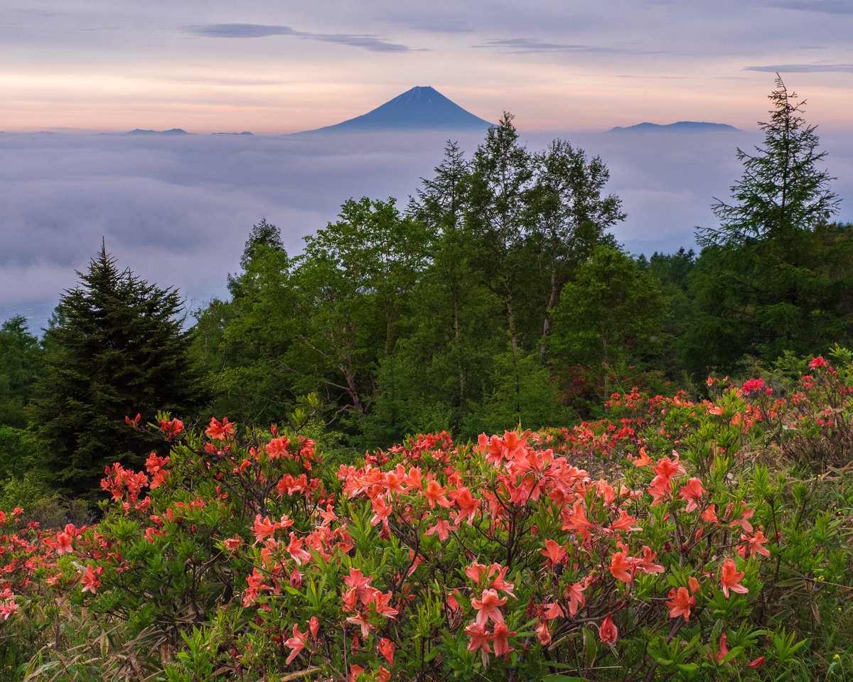 甘利山 甘利山