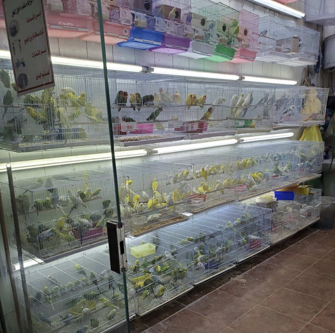 دليل جملة الرياض on twitter 85 من أفضل محلات المطابخ في الرياض مطابخ فاخرة جودة ممتازة جودة ألمنيوم و خشب ممتازة موديلات حديثة العليان للمطابخ olayankitchens 0114470213 https t co yjgihwublu التاج للمطابخ