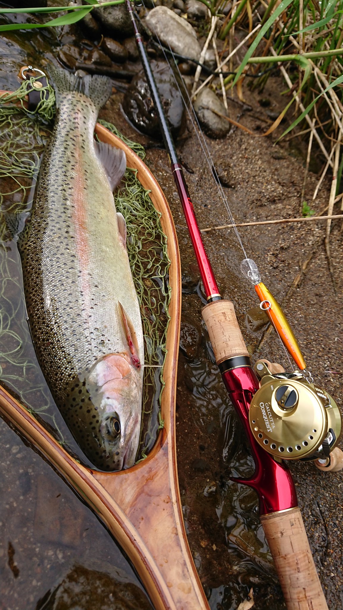 レンレン SHIMANO ワールドシャウラ 1651FF-3 シマノ(SHIMANO) 18