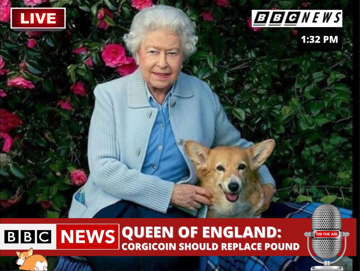 CryptoBlckParty's tweet photo. #CorgiCoin 🪙🐶 #MemeContest Thank You 4 Great #Memes  Hard 2 Pick Winners🏆 #CorgiArmy &amp; #CorgiFamily Help Pick! Post &amp; Crospost + link 2 Twitter 4 Most Votes!🗳️

Winners Chosen After Weekend!  Lots of $Corgi🚀Prizes! https://t.co/uOv2TjPNTl
Telegram
https://t.co/RhmQbdYVGt #BSC https://t.co/FyEp1y2KEP