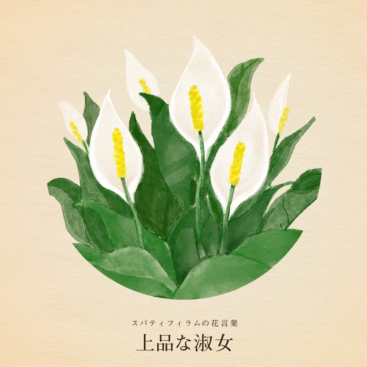 はな言葉 新刊出ました على تويتر きょう6月12日は 児童労働反対世界デー 恋人の日 エスペラントの日 宮城県民防災の日 日記の日 アンネの日記の日 バザー記念日 晩餐館焼肉のたれの日 恋と革命のインドカリーの日 誕生花はスパティフィラム 花言葉は 上品な淑女 はな言葉 新刊出ました على تويتر きょう6月12日は 児童労働反対世界デー 恋人の日 エスペラントの日 宮城県民防災の日 日記の日 アンネの日記の日 バザー記念日 晩餐館焼肉のたれの日 恋と革命のインドカリーの日 誕生花はスパティフィラム 花言葉は 上品な淑女
