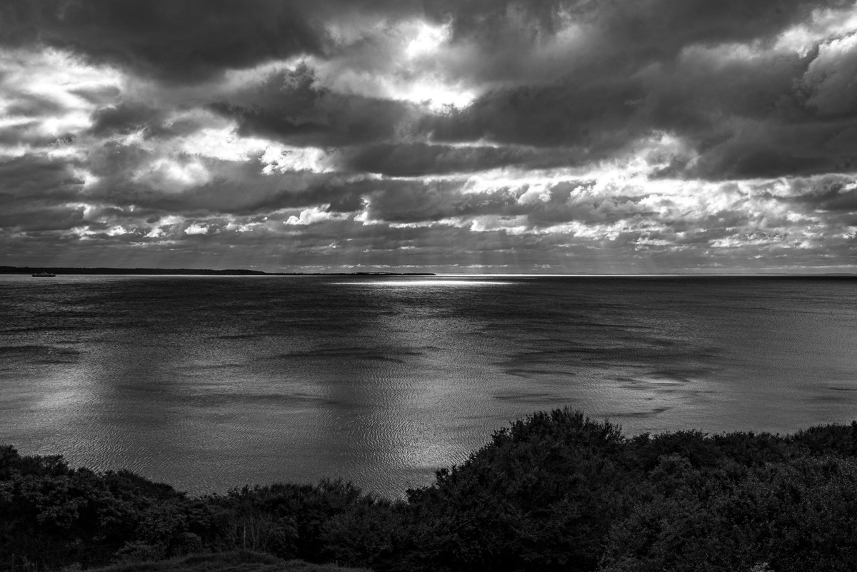 FrejaBorne's tweet image. 