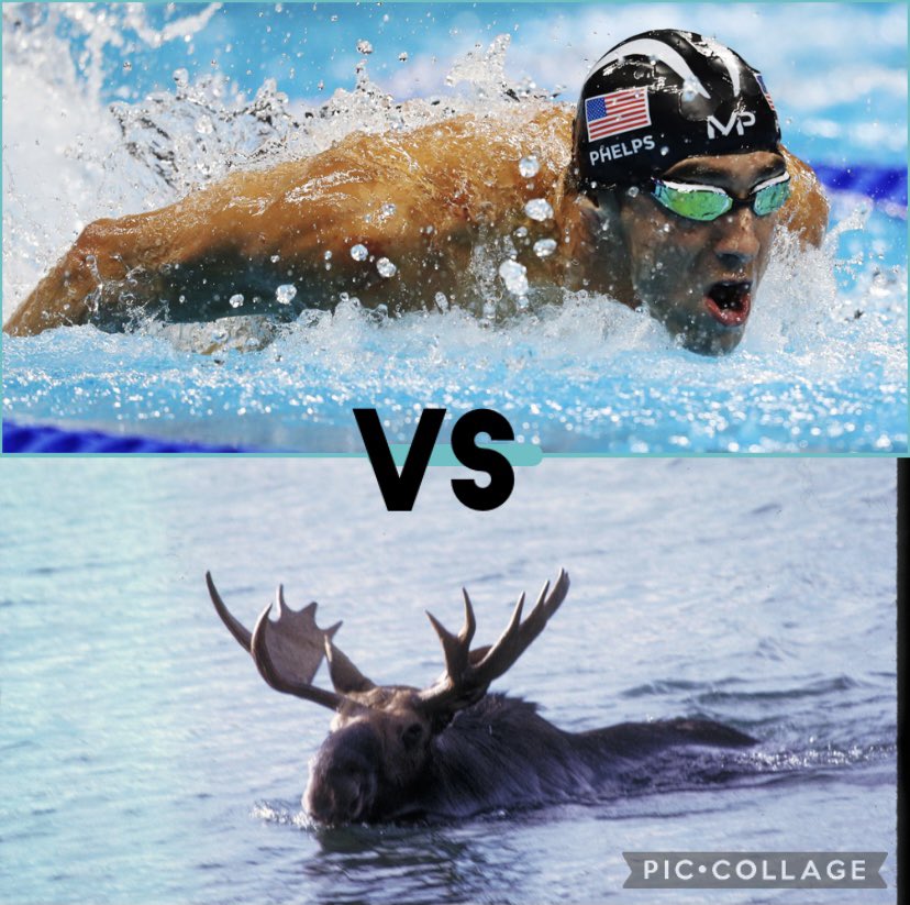 Jr. Jay Fallball tweet media