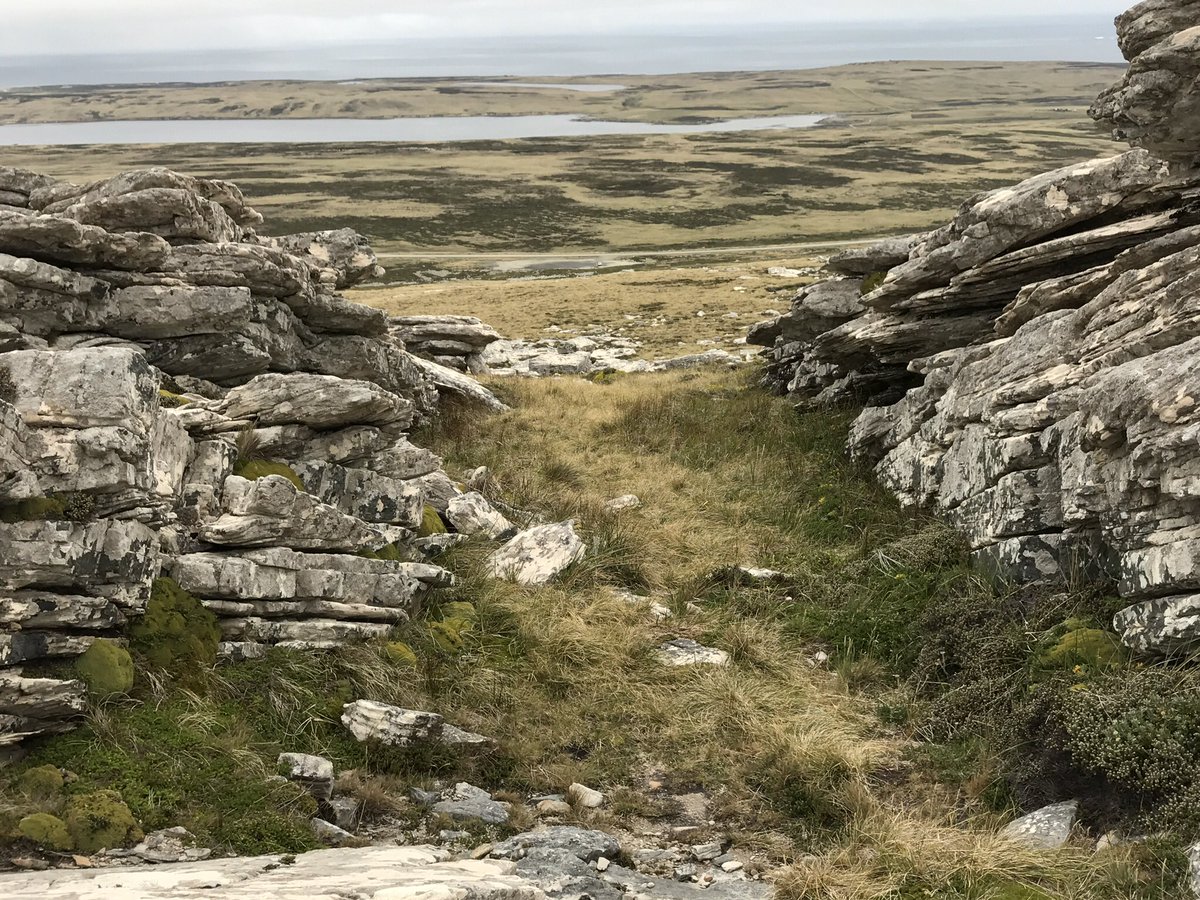 FalklandsinUK's tweet photo. At dawn on 12th June we remember those who fought overnight, 39 years ago, in the battles of #MountLongdon #3Para #2Para #RAMC and #MountHarriet @RoyalMarines #42Commando #NP8901 @3Cdo_Bde #FalklandIslands #Falklands @TheParachuteReg #RoyalArtillery @SAMA82office @PoppyLegion https://t.co/QdFXgLnqL4