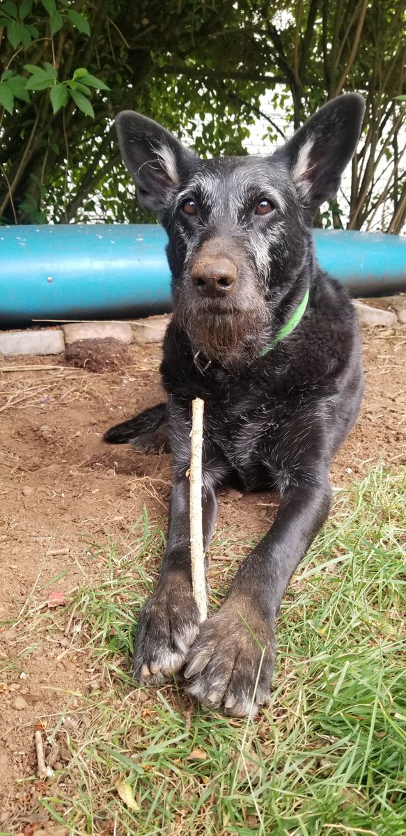 Kate Dameron tweet media