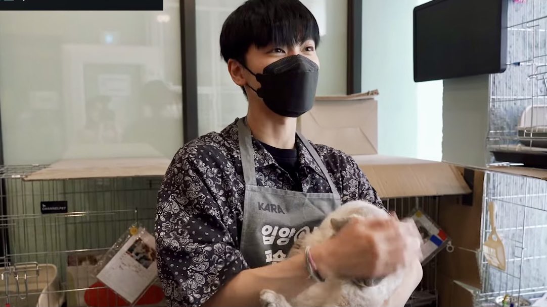 the cutest conTENt ♡