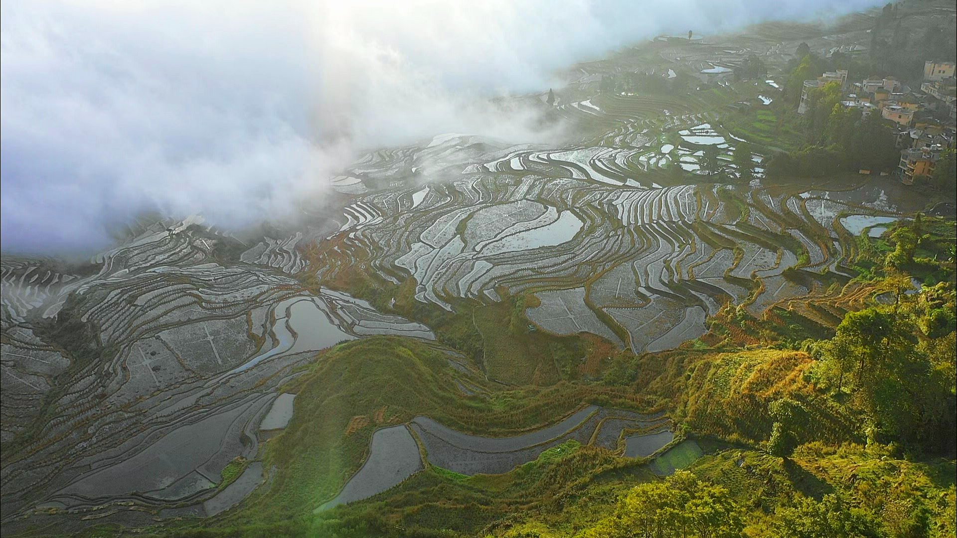 تويتر 世界遺産 على تويتر 明日は スペシャル 中国4000年の絶景と文化遺産 絶景 といっても 地球の営みだけでなく ヒトが生んだものも 例えば これ 世界最大の棚田 T Co Weyqedivxe