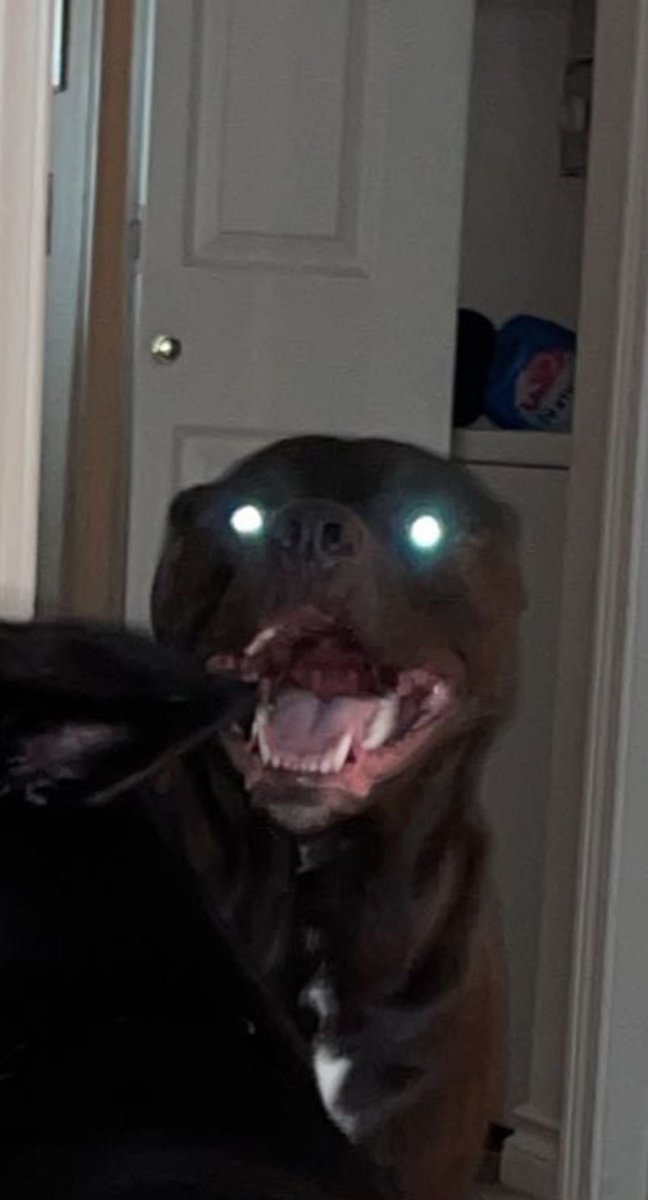 When you can't get your discord account back