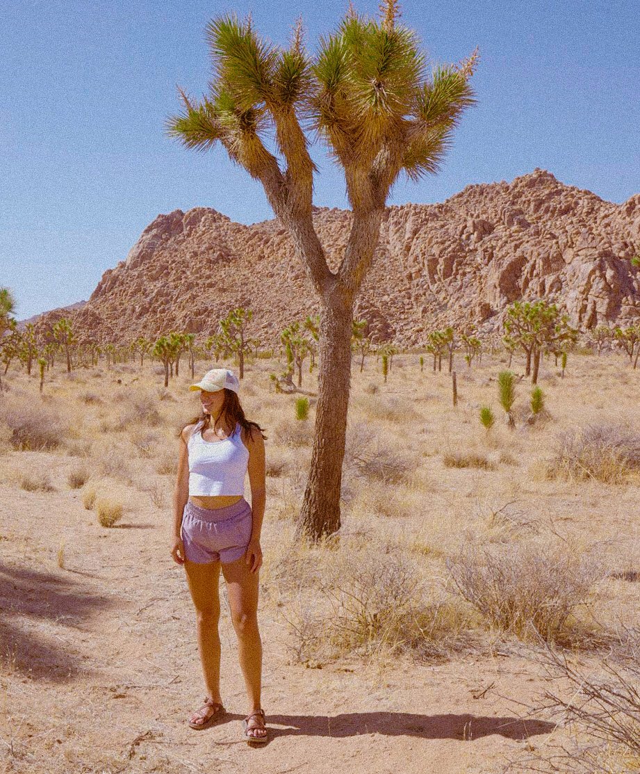 📍Joshua Tree