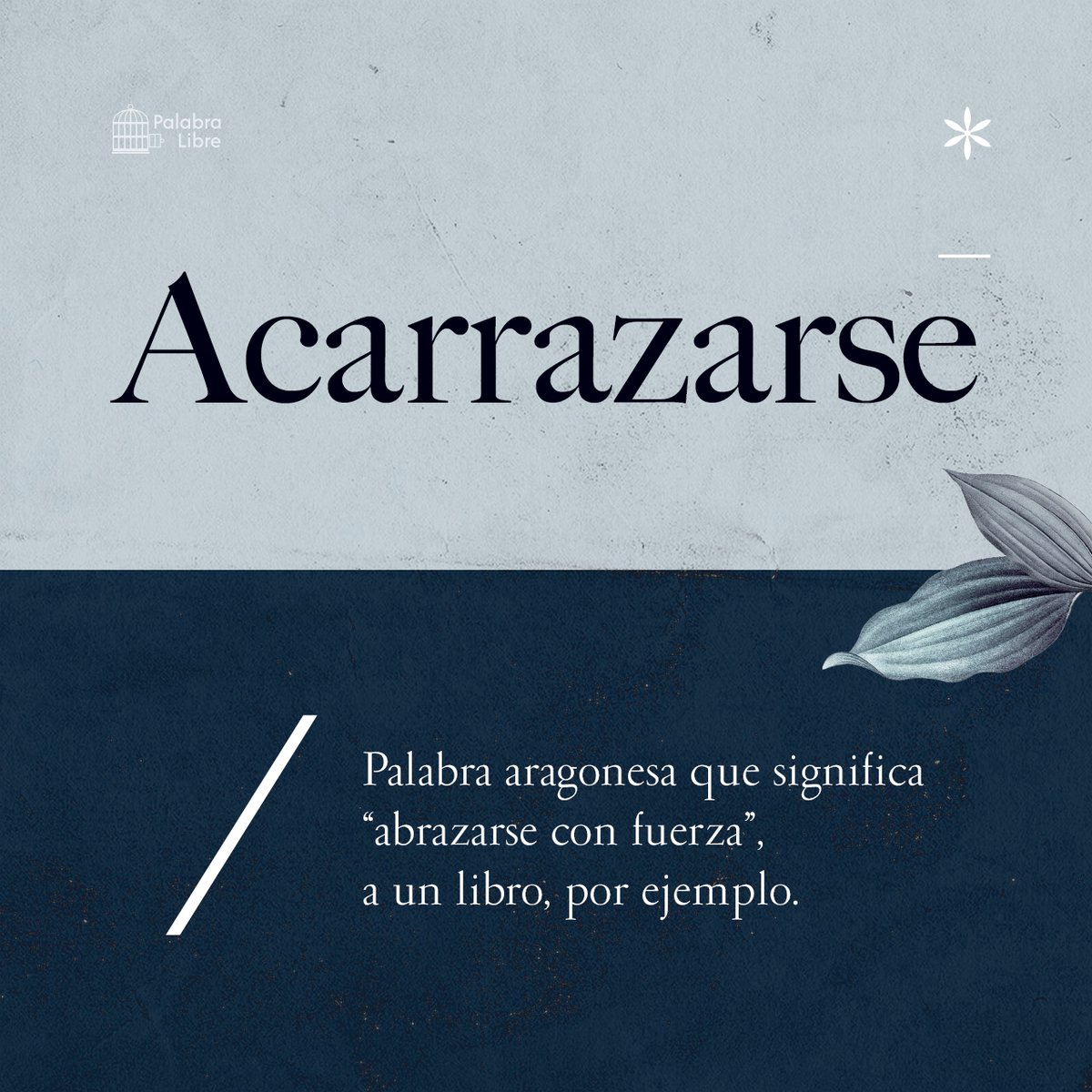 PalabraLibreUS's tweet image. ¿A qué más te gusta acarrazarte? 👁️💙👁️