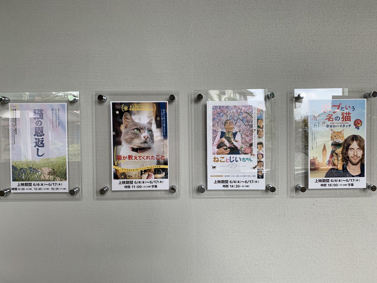 本日12日は映画館シネマネコはネコデイです！
どなたでも1000円でご鑑賞いただけます！
インターネットからのご予約も可能です！
cinema-neko.com