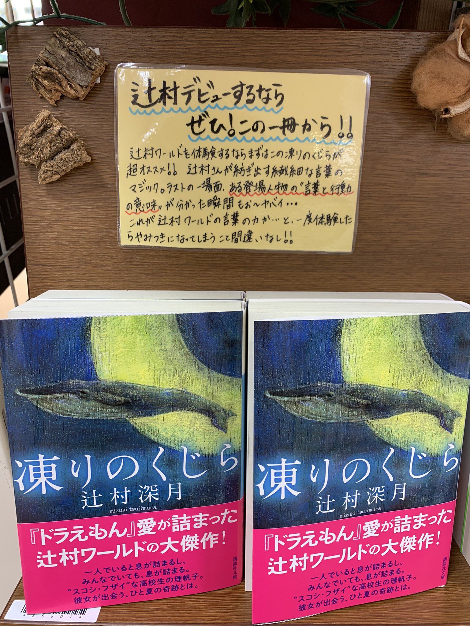 تويتر 三省堂書店有楽町店 على تويتر 辻村深月 さん最新刊 琥珀の夏 が明日の午後16時頃入荷予定です それに合わせて当店1階中央では辻村深月フェア開催中 今回はまだ辻村さんを読んだことない方も手に取りやすいよう1冊物を中心に展開中 後々フェア本も紹介