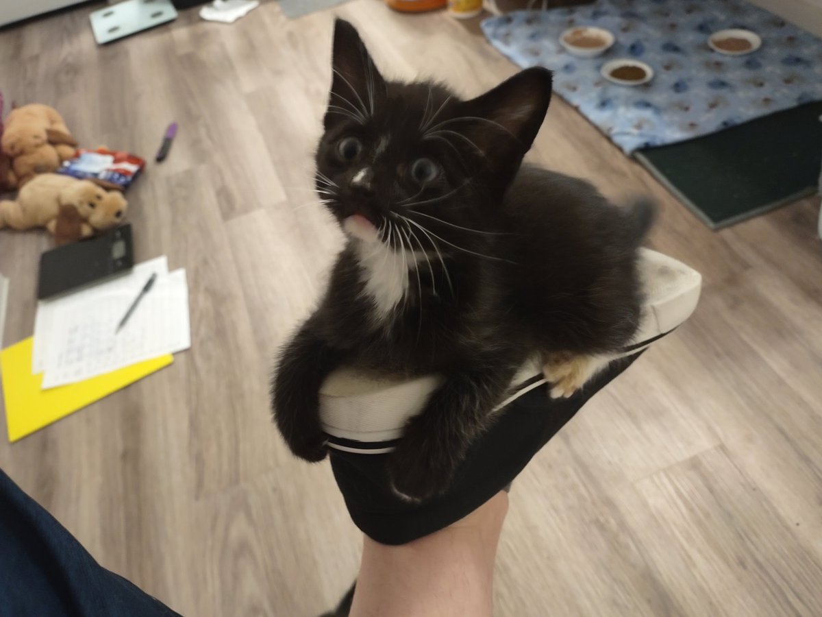 Huh, there's something stuck on my shoe