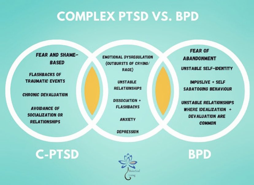 Bpd And Autism Differences